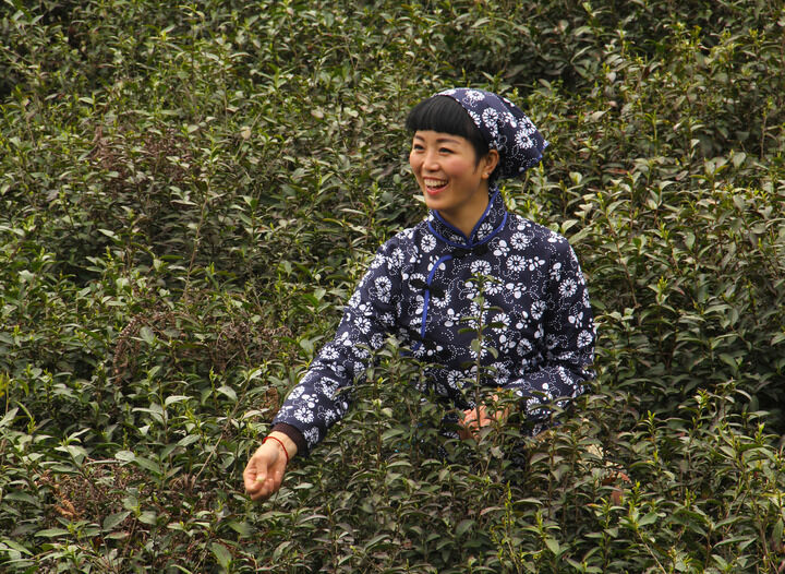 葬送的芙莉莲